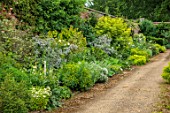 BOWOOD HOUSE AND GARDENS, WILTSHIRE: GREEN, YELLOW, SILVER AND WHITE BORDER IN THE WALLED GARDEN, WALLS, PATHS