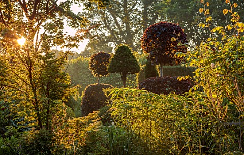 THE_LASKETT_GARDENS_HEREFORDSHIRE_DESIGNER_ROY_STRONG__CLIPPED_TOPIARY_SUMMER_JULY_SUNRISE_DAWN_THE_