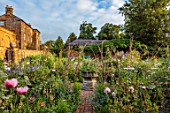 PRIORS MARSTON, WARWICKSHIRE, THE MANOR HOUSE:  POPPIES, WALLED GARDEN, WALLS, CUTTING, VEGETABLE, POTAGER, JULY, SUMMER, ENGLISH, COUNTRY, PATHS