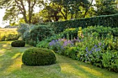 SILVER STREET FARM, DEVON, DESIGNER ALASDAIR CAMERON: BORDER, JULY, LUPINS, CEPHALARIA GIGANTEA, BEECH HEDGES, HEDGING, LUPIN, CLIPPED TOPIARY YEW DOMES