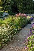 ROUSHAM, OXFORDSHIRE: THE VEGETABLE GARDEN, POTAGER IN THE WALLED GARDEN, SUMMER, JULY, SWEET PEAS, PATH