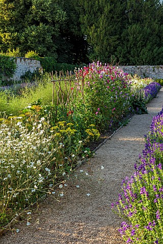 ROUSHAM_OXFORDSHIRE_THE_VEGETABLE_GARDEN_POTAGER_IN_THE_WALLED_GARDEN_SUMMER_JULY_SWEET_PEAS_PATH