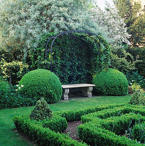 STONE_BENCH__HEDERA_PARSLEY_CRESTED_ON_METAL_FRAME_BEHIND_BOX_BALLS_AT_SIDE_IN_THE_KNOT_GARDEN_AT_BO