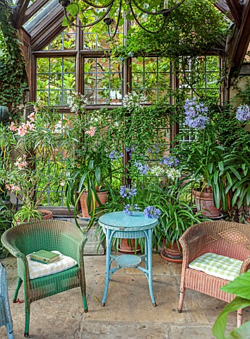STOCKCROSS_HOUSE_BERKSHIRE_CONSERVATORY_SUMMER_WICKER_CHAIRS_TABLE_CONTAINERS_AGAPANTHUS_OLEANDER_PL