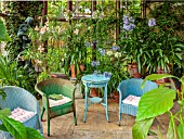 STOCKCROSS HOUSE, BERKSHIRE: CONSERVATORY, SUMMER, WICKER CHAIRS, TABLE, CONTAINERS, AGAPANTHUS, OLEANDER, PLUMBAGO