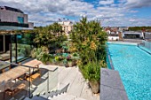 MAYFAIR PENTHOUSE GARDEN, LONDON, PLANTING ALASDAIR CAMERON: TERRACE, ROOF, HEPTACODIUM MICONIOIDES, CRAMBE MARITIMA, SWIMMING POOL, TABLE, CHAIRS, CONTAINER, STIPA GIGANTEA