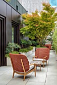 MAYFAIR PENTHOUSE GARDEN, LONDON, PLANTING DESIGN BY ALASDAIR CAMERON: CHAIRS, TABLE, ROOF TERRACE, RAISED BEDS, MAHONIA SOFT CARESS, MAPLE IN CONTAINER