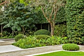 LONDON GARDEN DESIGNED BY MATT KEIGHTLEY: SHADY AREA, ACER RUFINERVE, TAXUS BACCATA DOMES, YEW, FERNS, DRYOPTERIS OFFICINIS, DRYOPTERIS ATRATA, HORNBEAM HEDGES, HEDGING