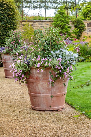 PRIVATE_GARDEN_GLOUCESTERSHIRE_DESIGN_ANGEL_COLLINS_CONTAINERS_SURFINIA_SWEET_PINK_SALVIA_DYSONS_JOY