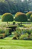 PRIVATE GARDEN, GLOUCESTERSHIRE - DESIGNER ANGEL COLLINS - LAWN, CLIPPED TOPIARY YEW - FORMAL PARTERRE, VERONICASTRUM VIRGINIACUM DIANE, CLIPPED HORNBEAM