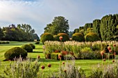 PRIVATE GARDEN, GLOUCESTERSHIRE - DESIGNER ANGEL COLLINS - LAWN, CLIPPED TOPIARY YEW - FORMAL PARTERRE, VERONICASTRUM VIRGINIACUM DIANE, CLIPPED HORNBEAM