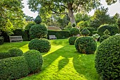 ADMINGTON HALL, WARWICKSHIRE: TOPIARY GARDEN, CLIPPED YEW, TAXUS, WOODEN BENCHES, HEDGES, HEDGING, TERRACOTTA CONTAINERS WITH HYDRANGEA ARBORESCENS ANNABELLE
