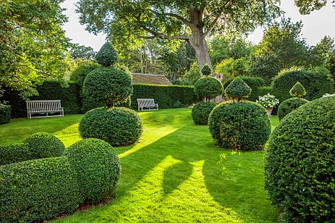 ADMINGTON_HALL_WARWICKSHIRE_TOPIARY_GARDEN_CLIPPED_YEW_TAXUS_WOODEN_BENCHES_HEDGES_HEDGING_TERRACOTT