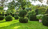 ADMINGTON HALL, WARWICKSHIRE: TOPIARY GARDEN, CLIPPED YEW, TAXUS, HEDGES, HEDGING, TERRACOTTA CONTAINERS WITH HYDRANGEA ARBORESCENS ANNABELLE