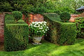 ADMINGTON HALL, WARWICKSHIRE: TOPIARY GARDEN, CLIPPED YEW, TAXUS, TERRACOTTA CONTAINERS WITH HYDRANGEA ARBORESCENS ANNABELLE, WALLS