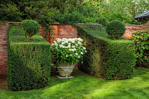 ADMINGTON_HALL_WARWICKSHIRE_TOPIARY_GARDEN_CLIPPED_YEW_TAXUS_TERRACOTTA_CONTAINERS_WITH_HYDRANGEA_AR