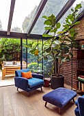 KENSINGTON, LONDON GARDEN DESIGNED BY ALASDAIR CAMERON: CONSERVATORY, CHAIRS, FIG, CONTAINER, PATIO, HEDGES, HEDGING