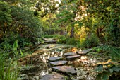 MORTON HALL GARDENS, WORCESTERSHIRE: POOL, WATER, STEPPING STONES, REFLECTIONS, UPPER POND, STROLL GARDEN, JAPANESE, AUGUST, SUMMER, MORNING LIGHT, DAWN, SUNRISE