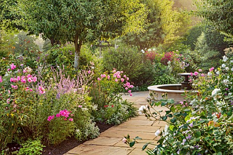 MORTON_HALL_WORCESTERSHIRE_AUGUST_SUMMER_BORDERS_FOUNTAIN_PATH_ROSES_ROSA_OLD_BLUSH_CHINA_PEROVSKIA_