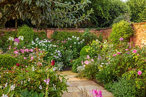 MORTON_HALL_WORCESTERSHIRE_SOUTH_GARDEN_SUMMER_BORDERS_PHLOX_DAVID_CLEOME_SPINOSA_WHITE_QUEEN_VIOLET
