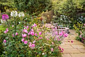 MORTON HALL, WORCESTERSHIRE: SOUTH GARDEN, PATH, FOUNTAIN, BORDERS, ROSES, ROSA OLD BLUSH CHINA, PEROVSKIA, CLEOME SPINOSA WHITE QUEEN AND VIOLET QUEEN, MORNING, DAWN, SUNRISE