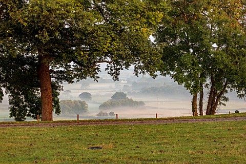 MORTON_HALL_WORCESTERSHIRE_THE_VIEW_WEST_BEYOND_TREES_TO_COUNTRYSIDE_TREES_MORNING_DAWN_MIST_FOG_AUG