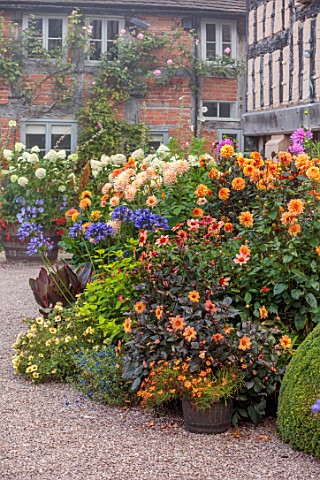 WOLLERTON_OLD_HALL_SHROPSHIRE_CONTAINERS_HYDRANGEA_LIMELIGHT_DAHLIA_DAVID_HOWARD_VIVIAN_RUSSEL_EVELY