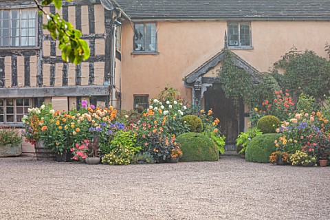 WOLLERTON_OLD_HALL_SHROPSHIRE_CONTAINERS_HYDRANGEA_LIMELIGHT_DAHLIA_DAVID_HOWARD_VIVIAN_RUSSEL_EVELY