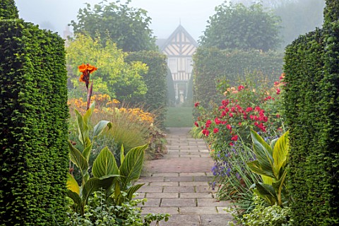 WOLLERTON_OLD_HALL_SHROPSHIRE_BORDERS_PATHS_SEPTEMBER_LLANHYDROCK_RED_ORANGE_FLOWERS_CANNA_CLEOPATRA