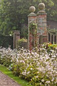 WOLLERTON OLD HALL, SHROPSHIRE: BORDERS, SEPTEMBER, WALLS, GATE, JAPANESE ANMONES FLOWERING BESIDE WALL, PATHS