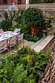 SMALL TOWN, CITY GARDEN DESGNED BY ALASDAIR CAMERON, LONDON: FORMAL, STEPS, TERRACE, PATIO, LIGHTING, NIGHT, LIGHTS, WALLS, DINING TABLE, CHAIRS, CUSHIONS, FERNS, SHADE, SHADY