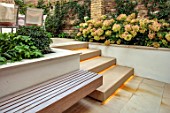 SMALL TOWN, CITY GARDEN DESGNED BY ALASDAIR CAMERON, LONDON: STEPS, WALLS, HYDRANGEAS, FORMAL, RAISED BEDS, WOODEN, SEAT, BENCH