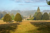 ROCKCLIFFE GARDEN, GLOUCESTERSHIRE: VIEW ACROSS FIELD TO HOUSE AND CLIPPED BEECH OBELISKS. ENGLISH, COUNTRY, GARDEN, SEPTEMBER, SHEEP, TREES, MIST, FOG