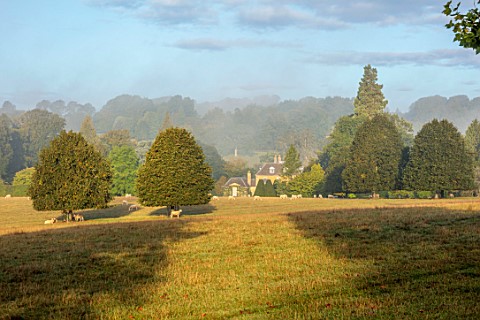 ROCKCLIFFE_GARDEN_GLOUCESTERSHIRE_VIEW_ACROSS_FIELD_TO_HOUSE_AND_CLIPPED_BEECH_OBELISKS_ENGLISH_COUN