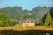 ROCKCLIFFE GARDEN, GLOUCESTERSHIRE: VIEW ACROSS FIELD TO HOUSE AND CLIPPED BEECH OBELISKS. ENGLISH, COUNTRY, GARDEN, SEPTEMBER, SHEEP, TREES, MIST, FOG