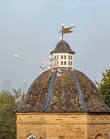 ROCKCLIFFE_GLOUCESTERSHIRE_THE_DOVECOTE_IN_SEPTEMBER_DOVES_FLYING_AWAY_BUILDING