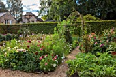 ROCKCLIFFE, GLOUCESTERSHIRE: POTAGER, VEGETABLE, KITCHEN, GARDEN, COUNTRY, HEDGES, HEDGING, PATH, ARCH, DAHLIAS