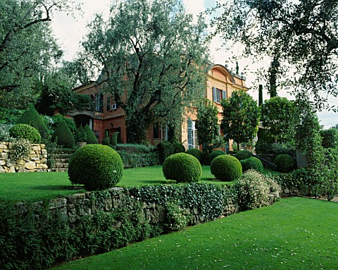 OLIVE_TREES_AND_CLIPPED_BOX_WITH_THE_VILLA_BEHIND_LA_CASELLA__FRANCE_GARDEN_DESIGNED_BY_CLAUS_SCHEIN