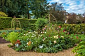 ROCKCLIFFE, GLOUCESTERSHIRE: POTAGER, VEGETABLE, KITCHEN, GARDEN, COUNTRY, HEDGES, HEDGING, PATH, ARCHES, DAHLIAS, COSMOS