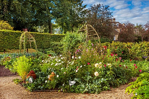 ROCKCLIFFE_GLOUCESTERSHIRE_POTAGER_VEGETABLE_KITCHEN_GARDEN_COUNTRY_HEDGES_HEDGING_PATH_ARCHES_DAHLI