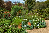 ROCKCLIFFE, GLOUCESTERSHIRE: POTAGER, VEGETABLE, KITCHEN, GARDEN, COUNTRY, HEDGES, HEDGING, DAHLIAS, COSMOS, RHUBARB FORCERS