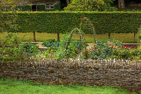 ROCKCLIFFE_GLOUCESTERSHIRE_POTAGER_VEGETABLE_KITCHEN_GARDEN_COUNTRY_HEDGES_HEDGING_DAHLIAS_COSMOS_WA