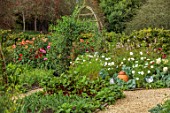 ROCKCLIFFE, GLOUCESTERSHIRE: POTAGER, VEGETABLE, KITCHEN, GARDEN, COUNTRY, HEDGES, HEDGING, DAHLIAS, COSMOS, RHUBARB FORCERS