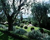 VIEW THROUGH OLIVE TREES TO A CIRCULAR BASIN ON TERRACE. LA CASELLA  FRANCE. GARDEN DESIGNED BY CLAUS SCHEINERT