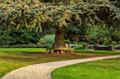BOWCLIFFE HALL, YORKSHIRE: DESIGN ALISTAIR BALDWIN: LAWN, CEDAR OF LEBANON, WOODEN TREE SEAT, GRASS, SEATING, BENCH, SEPTEMBER, PATHS
