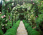 ARCHES OF ROSES LINE A PEBBLE PATH BORDERED WITH LAVENDER LA CASELLA  FRANCE. GARDEN DESIGNED BY CLAUS SCHEINERT