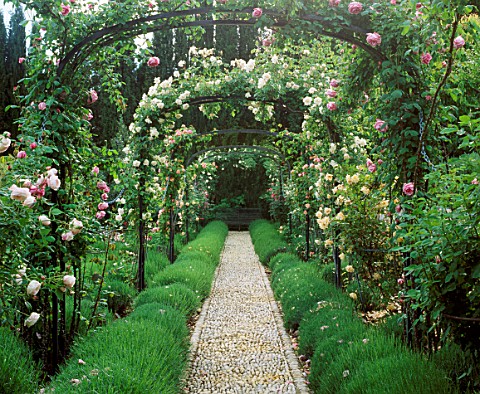 ARCHES_OF_ROSES_LINE_A_PEBBLE_PATH_BORDERED_WITH_LAVENDER_LA_CASELLA__FRANCE_GARDEN_DESIGNED_BY_CLAU