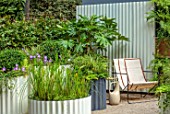 CHELSEA 2021 - THE HOT TIN ROOF GARDEN, DESIGNER ELLIE EDKINS: WHITE STEEL CONTAINERS PLANTED WITH FATSIA, FERNS, GERANIUMS, BOX, BUXUS, COURTYARD, TERRACE, WALLS