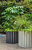 CHELSEA 2021 - THE HOT TIN ROOF GARDEN, DESIGNER ELLIE EDKINS: WHITE STEEL CONTAINERS PLANTED WITH FATSIA, BOX, BUXUS, ANEMONES, COURTYARD, TERRACE
