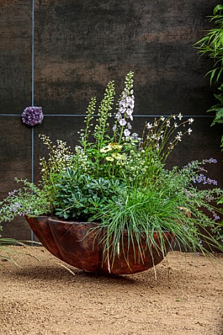 CHELSEA_2021__COURTYARD_GARDEN_BY_ANNA_DABROWSKA__JAUDI_WOODEN_CONTAINERS_DELPHINIUMS_ASTRANTIA_ECHI